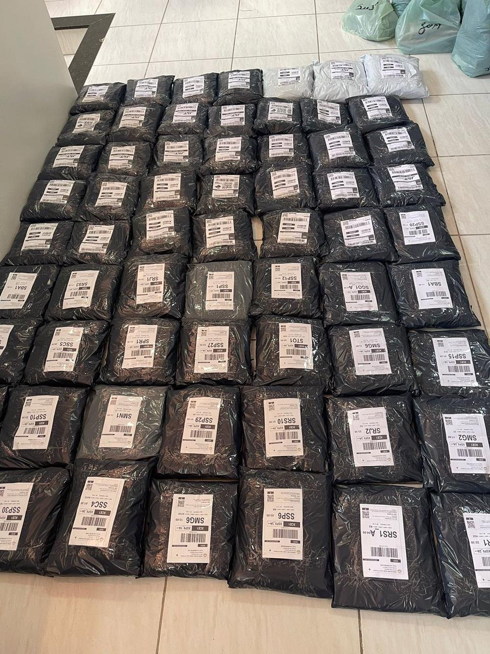 e8a2c856-16e1-4962-8314-d30e0fa31c02